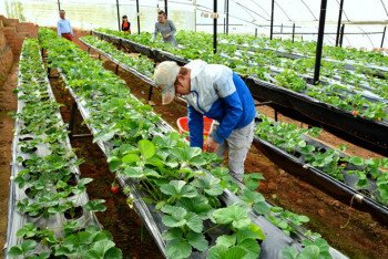 Cổng thông tin điện tử Quốc hội